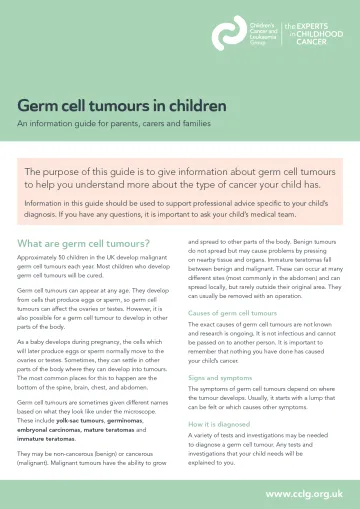 Front cover for factsheet - germ cell tumours