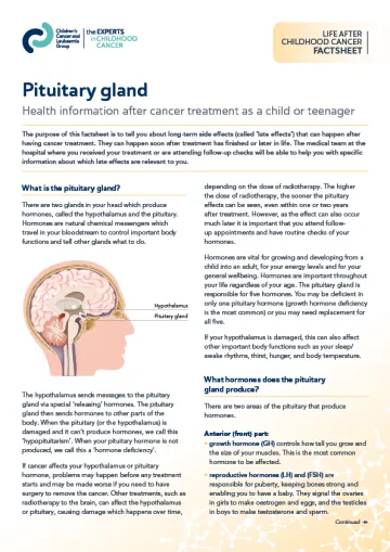 Front cover for late effects factsheet - pituitary gland