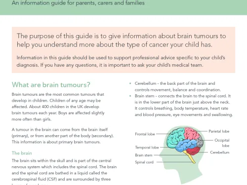 Front cover for factsheet - brain tumours