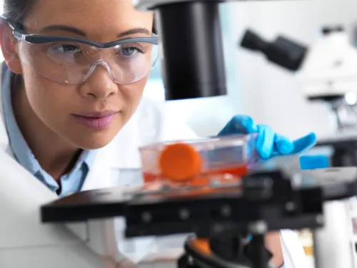 Female scientist wearing a white lab coat and safety goggles, looking at cancer cell cultures under the microscope.